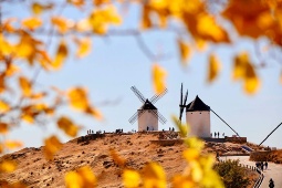 Windmills in the town of Consuegra, Toledo, Spain