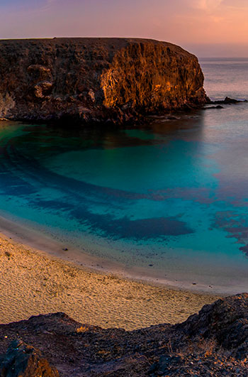 Jornades Turespaña 2021: «Reset and restart: noves oportunitats per a un sector de futur» Jornades Turespaña 2021: «Reset and restart: noves oportunitats per a un sector de futur»