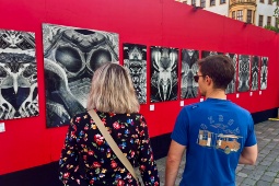 Espectadores