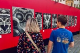 Espectadores Espectadores