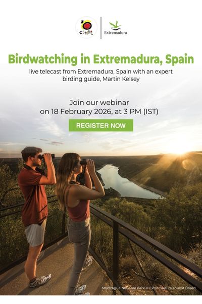 Birdwatching in Extremadura
