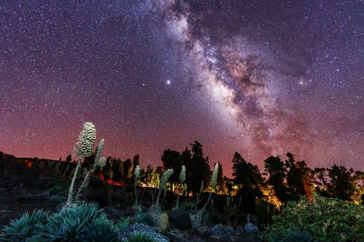 L’un des plus beaux spectacles astronomiques au monde peut être observé depuis la Caldera de Taburiente, près de l’Observatoire du Roque de los Muchachos (La Palma, Canaries, Espagne) L’un des plus beaux spectacles astronomiques au monde peut être observé depuis la Caldera de Taburiente, près de l’Observatoire du Roque de los Muchachos (La Palma, Canaries, Espagne)