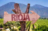 Les routes du vin en La Rioja incluent des promenades dans les vignobles, des dégustations en cave et des expériences gastronomiques