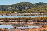Flamants roses dans le Parc naturel de Ses Salines à Ibiza (Îles Baléares, Espagne), l’une des zones les plus recommandées pour l’observation des oiseaux et la randonnée