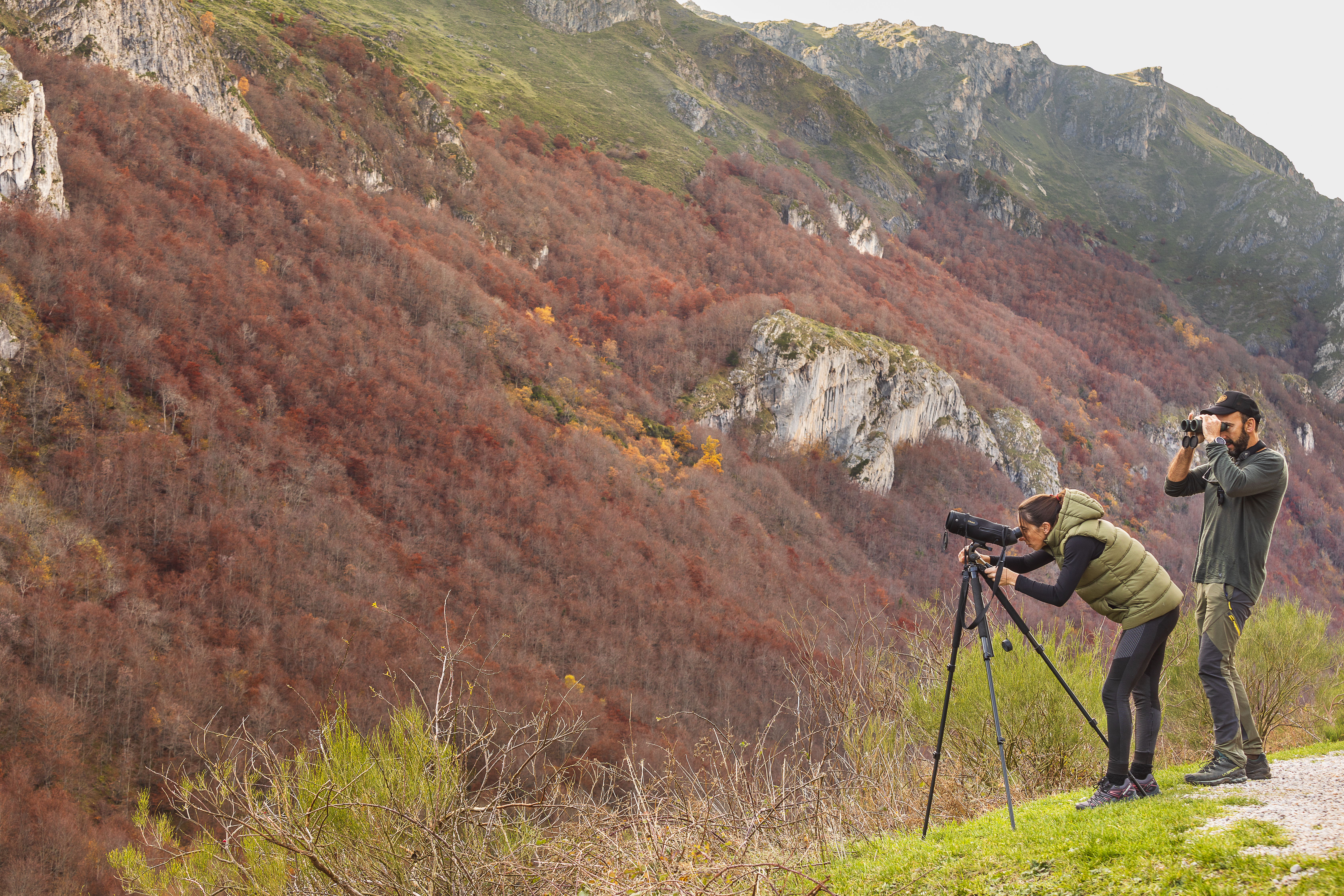 Somiedo Naturpark i Asturien er et af Spaniens bedste steder at opleve brunbjørnen i dens naturlige omgivelser. Somiedo Naturpark i Asturien er et af Spaniens bedste steder at opleve brunbjørnen i dens naturlige omgivelser.