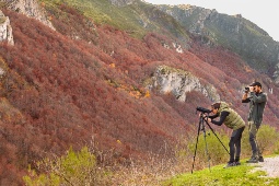 Somiedo Naturpark i Asturien er et af Spaniens bedste steder at opleve brunbjørnen i dens naturlige omgivelser.