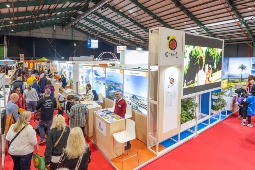 Holiday World Show Official Website