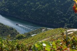 Tågresor kan kompletteras med katamaranutflykter på floden Sil, där besökare kan upptäcka de imponerande vingårdarna som klamrar sig fast vid sluttningarna i Ribeira Sacra. Tågresor kan kompletteras med katamaranutflykter på floden Sil, där besökare kan upptäcka de imponerande vingårdarna som klamrar sig fast vid sluttningarna i Ribeira Sacra.