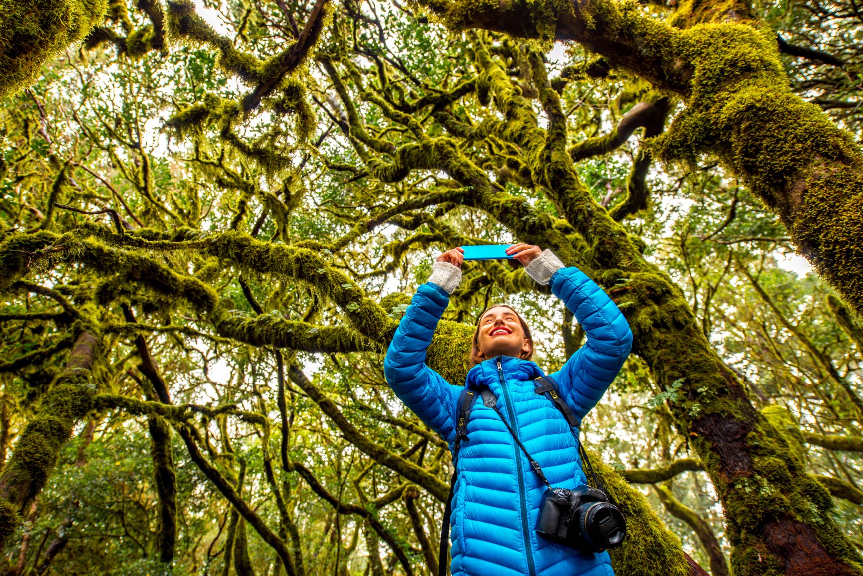 Im Jahr 1986 wurde der Nationalpark Garajonay auf La Gomera von der UNESCO zum Weltkulturerbe erklärt Im Jahr 1986 wurde der Nationalpark Garajonay auf La Gomera von der UNESCO zum Weltkulturerbe erklärt