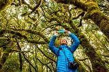 Im Jahr 1986 wurde der Nationalpark Garajonay auf La Gomera von der UNESCO zum Weltkulturerbe erklärt