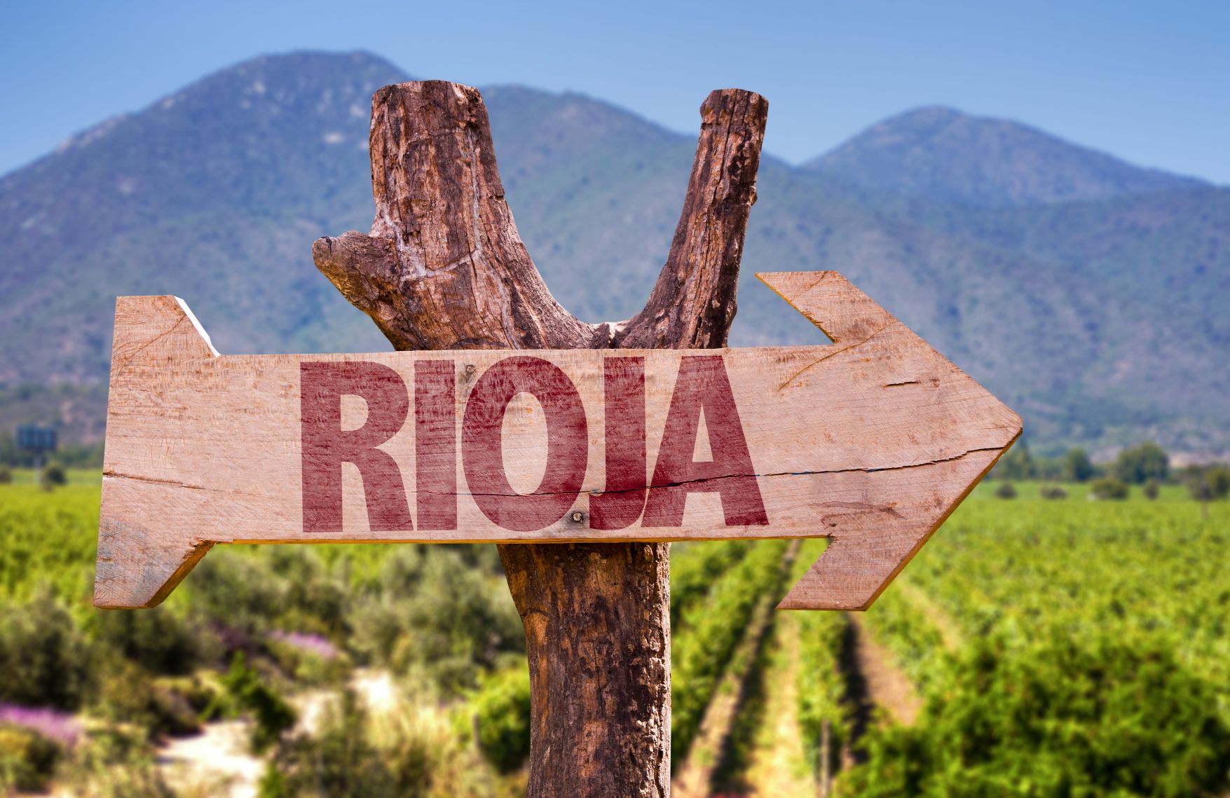 Die Weinrouten in La Rioja beinhalten Spaziergänge durch Weinberge, Verkostungen in Weingütern und gastronomische Erlebnisse Die Weinrouten in La Rioja beinhalten Spaziergänge durch Weinberge, Verkostungen in Weingütern und gastronomische Erlebnisse