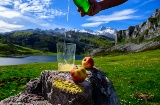 Einschenken von asturischem Apfelwein aus grünen Flaschen aus großer Höhe, hergestellt aus fermentierten Äpfeln, mit Blick auf den Covadonga-See und die Gipfel der Picos de Europa Einschenken von asturischem Apfelwein aus grünen Flaschen aus großer Höhe, hergestellt aus fermentierten Äpfeln, mit Blick auf den Covadonga-See und die Gipfel der Picos de Europa