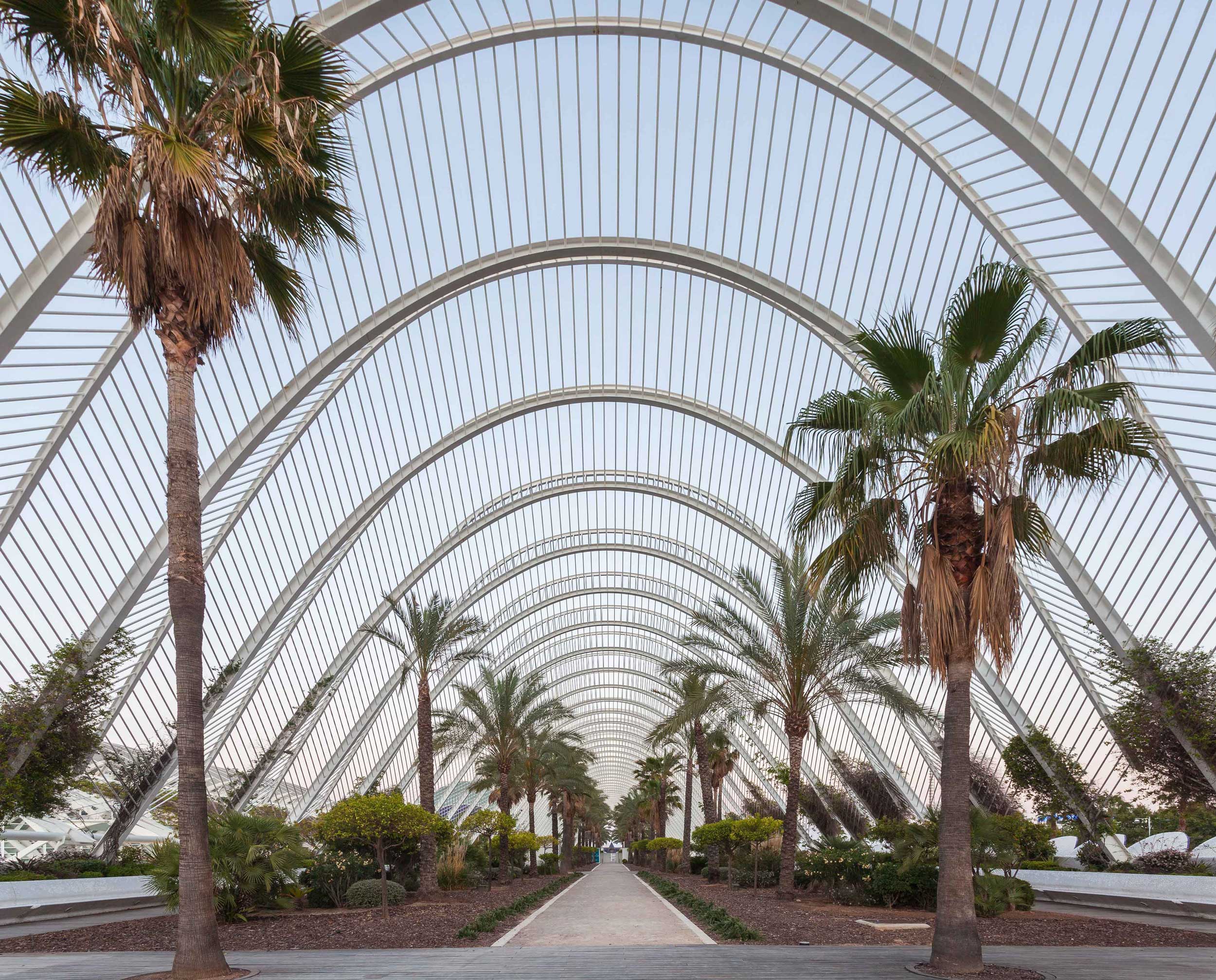 Umbráculo, Ciudad de las Artes y las Ciencias, Valencia, España Umbráculo, Ciudad de las Artes y las Ciencias, Valencia, España