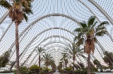 Umbráculo, Ciudad de las Artes y las Ciencias, Valencia, España Umbráculo, Ciudad de las Artes y las Ciencias, Valencia, España