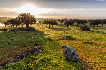 Sonnenaufgang im Weidegebiet Arroyo de Luz
