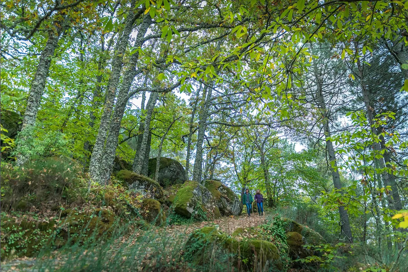 El Asentadero-Bosque de los Espejos is een rondweg van 9,2 kilometer waar kunstwerken zijn geïnstalleerd om de wandelaar te verrassen