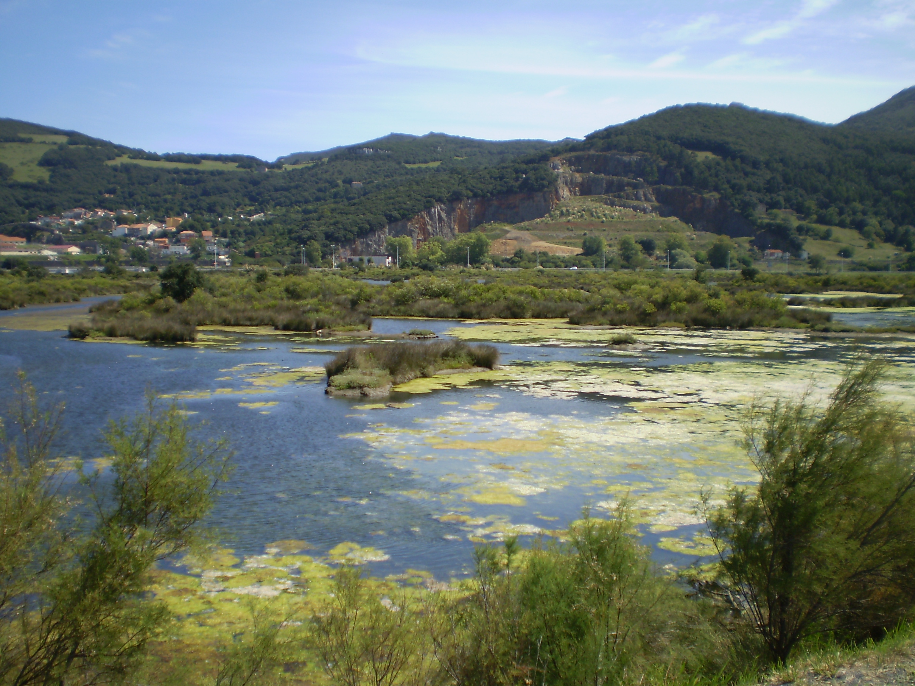 Marisma in Santoña
