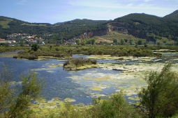 Marisma in Santoña Marisma in Santoña