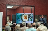 Presentación sobre El Capricho de Comillas Presentación sobre El Capricho de Comillas
