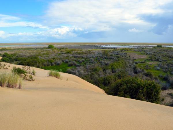 Vista dos pântanos do Parque Nacional de Doñana, Reserva da Biosfera Vista dos pântanos do Parque Nacional de Doñana, Reserva da Biosfera