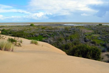 Vista dos pântanos do Parque Nacional de Doñana, Reserva da Biosfera