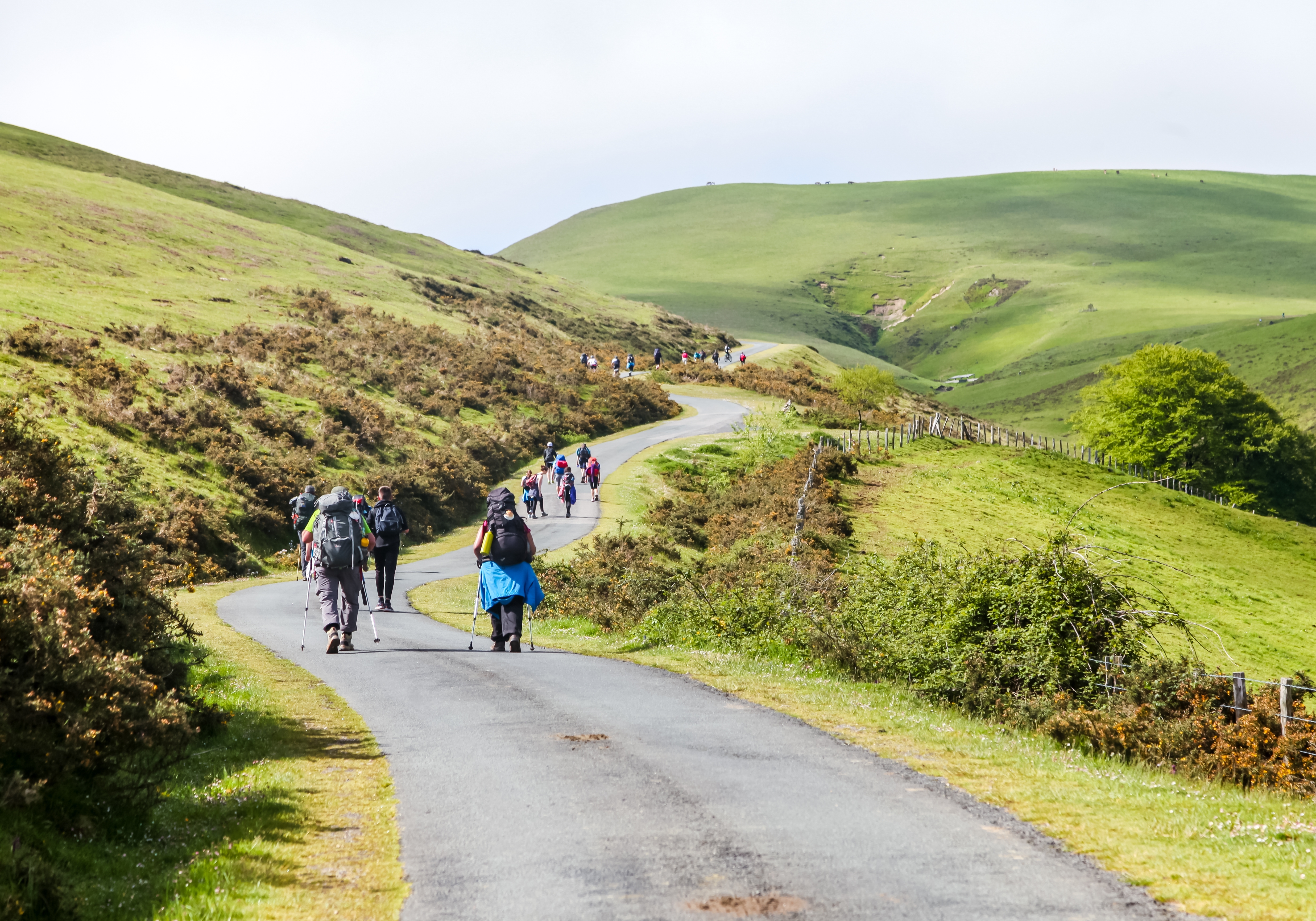 O Caminho de Santiago está a preparar-se para o Ano Santo de 2027 com uma seleção cuidadosa de 27 locais espalhados pelas suas rotas mais reconhecidas no território galego