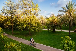 Valência tem 5 km2 de jardins e áreas verdes, e um Parque Natural como La Albufera © Visit Valencia | Javier Fernández