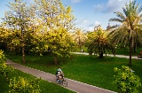 Valência tem 5 km2 de jardins e áreas verdes, e um Parque Natural como La Albufera © Visit Valencia | Javier Fernández Valência tem 5 km2 de jardins e áreas verdes, e um Parque Natural como La Albufera © Visit Valencia | Javier Fernández