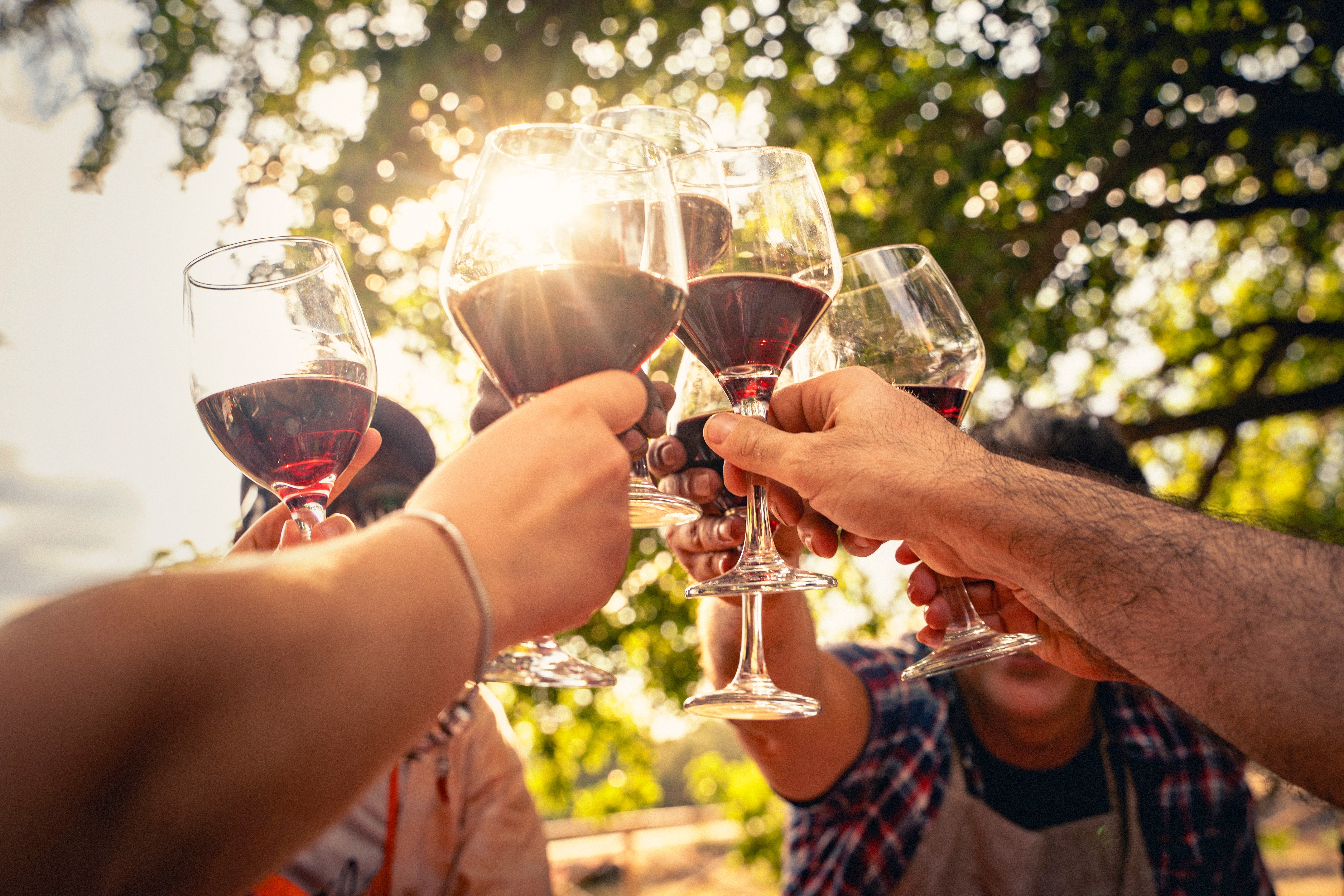 Graças às Rotas do Vinho em Espanha e às suas atividades associadas em adegas, vinhas e museus, o enoturismo consolidou-se como um motor turístico, cultural e económico para inúmeros destinos em Espanha Graças às Rotas do Vinho em Espanha e às suas atividades associadas em adegas, vinhas e museus, o enoturismo consolidou-se como um motor turístico, cultural e económico para inúmeros destinos em Espanha