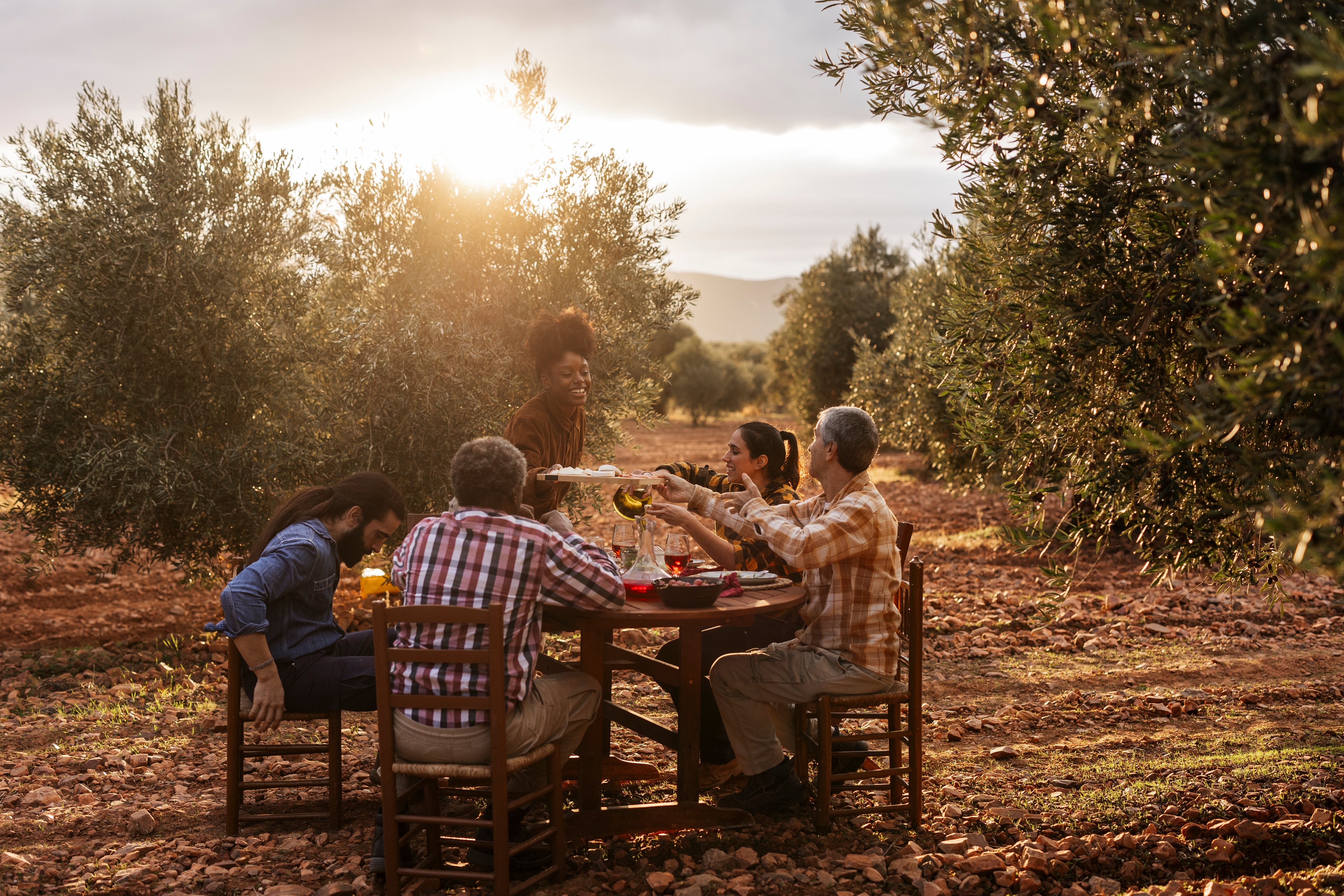 Degustações entre oliveiras tornaram-se uma experiência muito procurada entre os amantes do mundo rural © Shutterstock Degustações entre oliveiras tornaram-se uma experiência muito procurada entre os amantes do mundo rural © Shutterstock