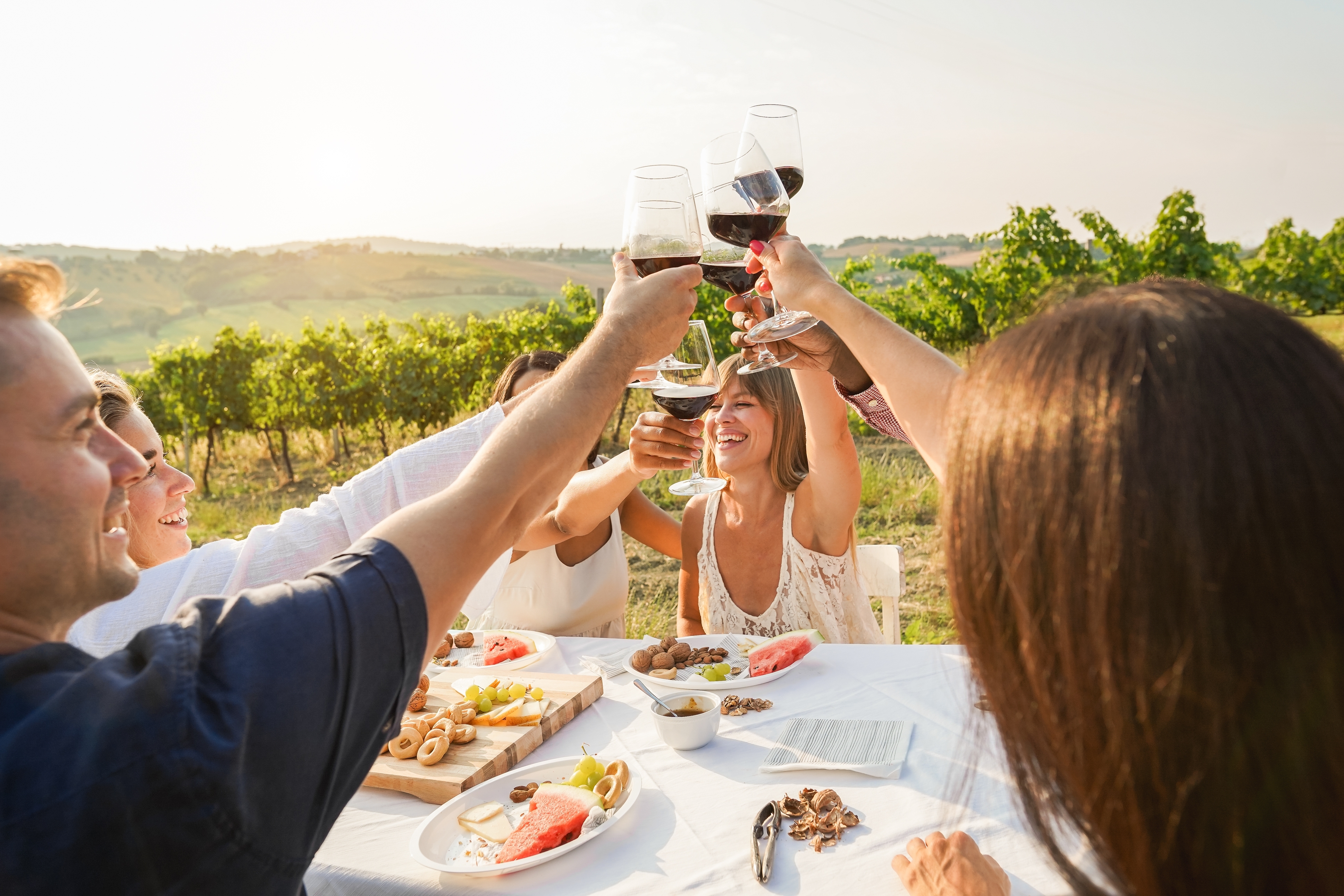 Degustação de vinhos num vinhedo © da Shutterstock