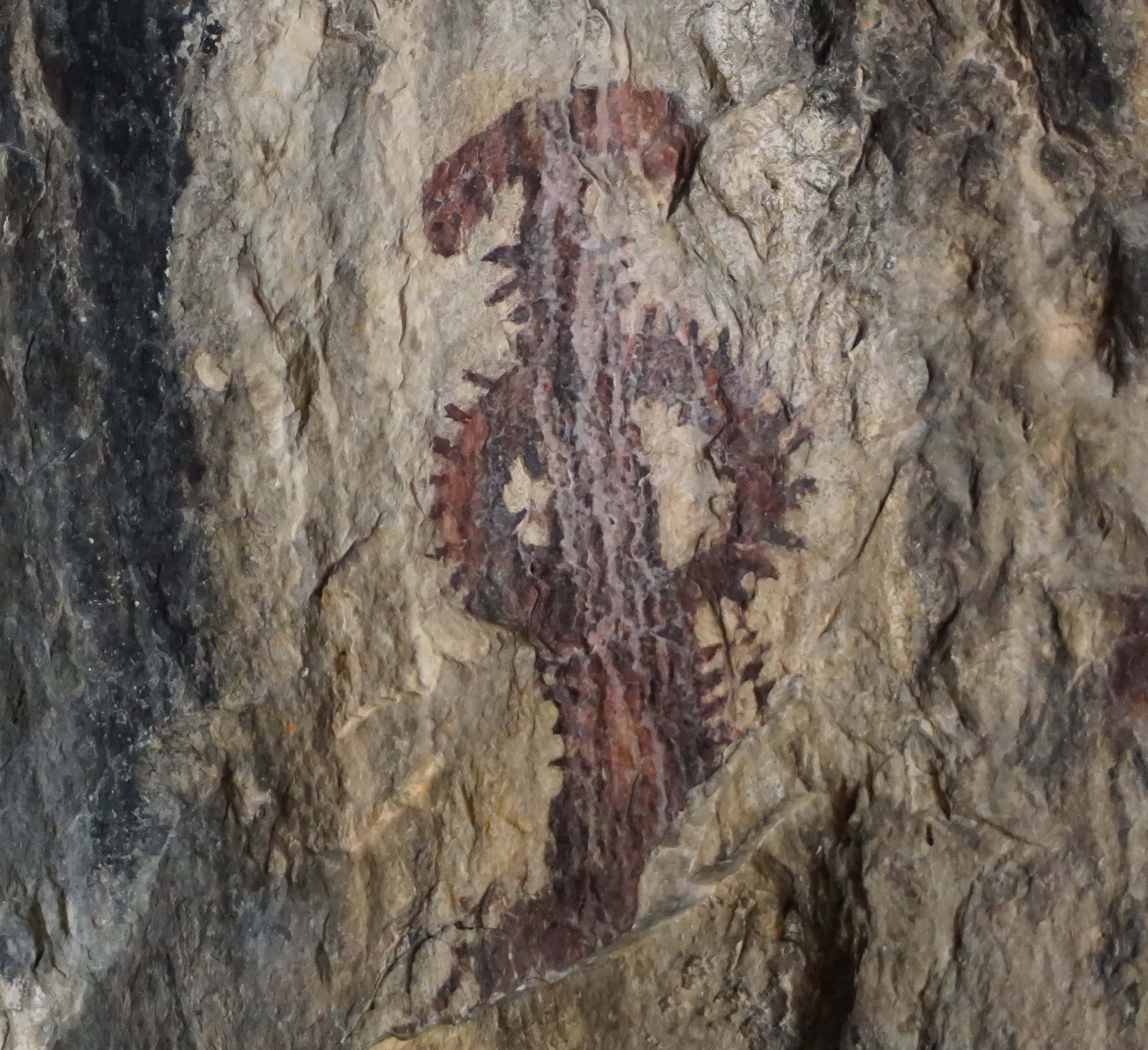 Gruta Sima de la Serreta em Cieza (Múrcia). Figura de estilo semi-naturalista pertencente à Schematic © Rock Art Shutterstock Gruta Sima de la Serreta em Cieza (Múrcia). Figura de estilo semi-naturalista pertencente à Schematic © Rock Art Shutterstock