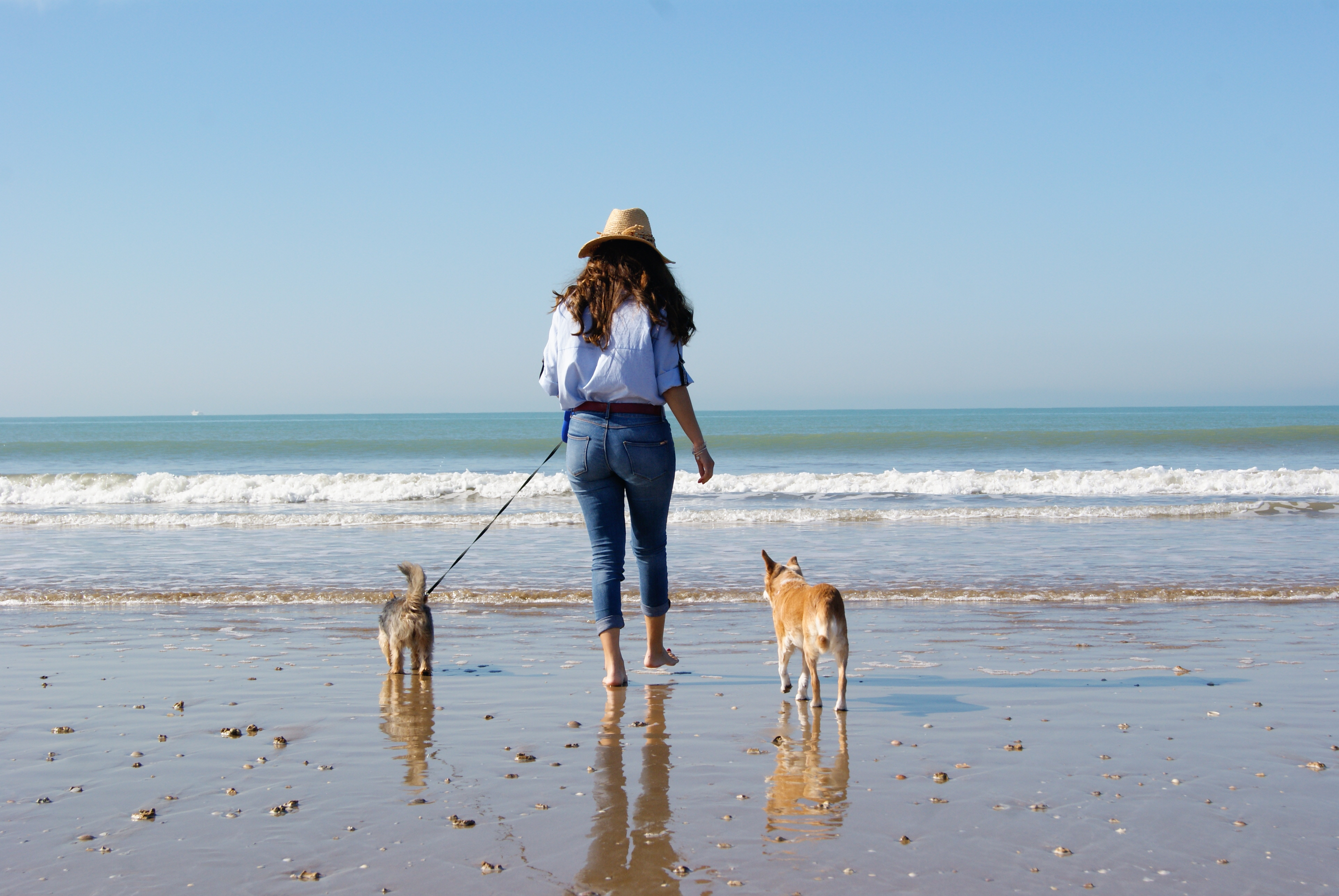 A Andaluzia é uma das comunidades autónomas em Espanha com o maior número de praias autorizadas a aceder com animais de estimação