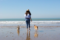 A Andaluzia é uma das comunidades autónomas em Espanha com o maior número de praias autorizadas a aceder com animais de estimação A Andaluzia é uma das comunidades autónomas em Espanha com o maior número de praias autorizadas a aceder com animais de estimação
