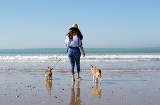A Andaluzia é uma das comunidades autónomas em Espanha com o maior número de praias autorizadas a aceder com animais de estimação A Andaluzia é uma das comunidades autónomas em Espanha com o maior número de praias autorizadas a aceder com animais de estimação