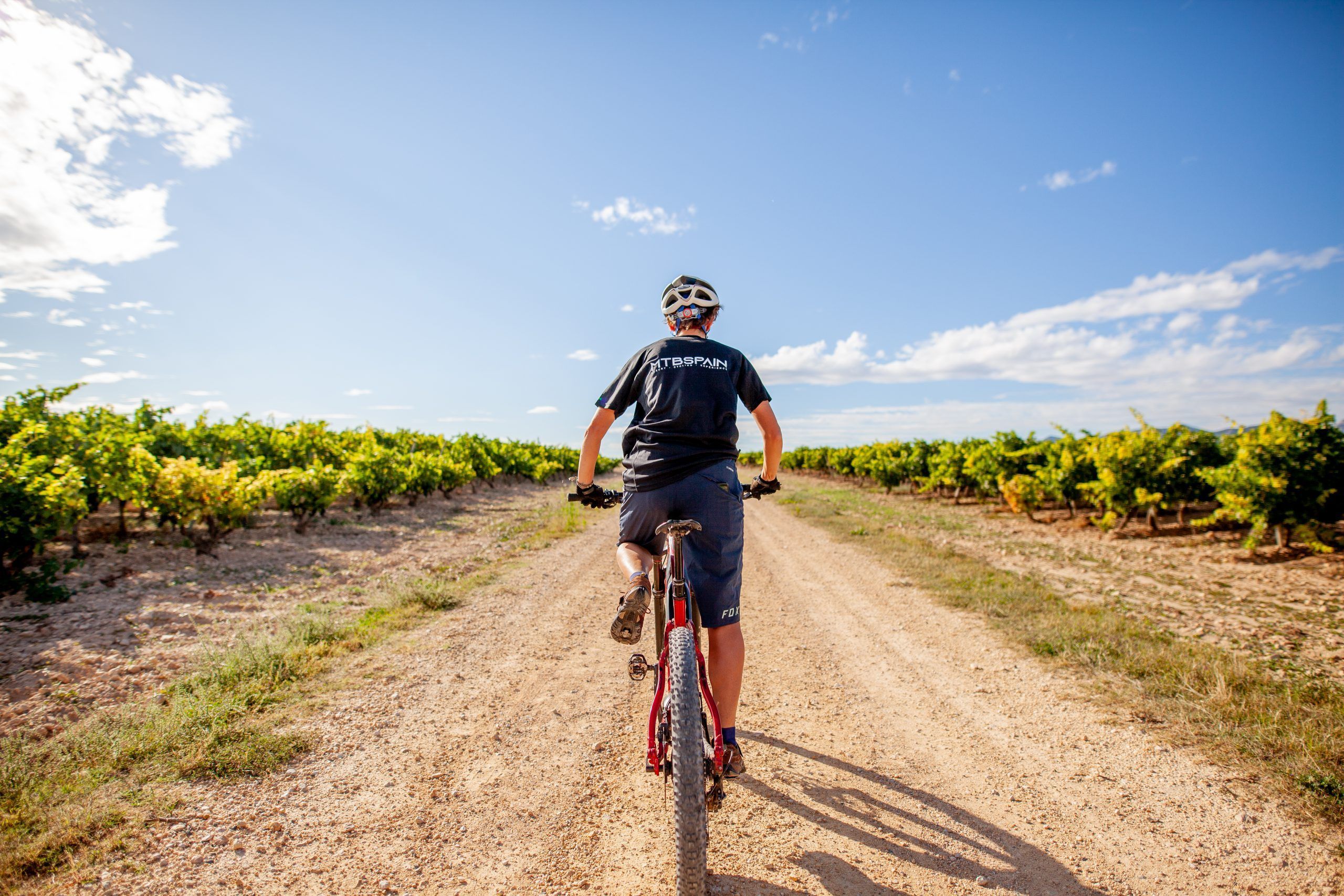 Os percursos entre vinhas são uma das experiências mais bem avaliadas entre os ciclistas que viajam para La Rioja @ MTB Spain