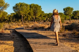 O Parque Nacional de Doñana, localizado entre as províncias andaluzas de Huelva, Sevilha e Cádis, foi declarado Reserva da Biosfera pela UNESCO em 1980 © Shutterstock