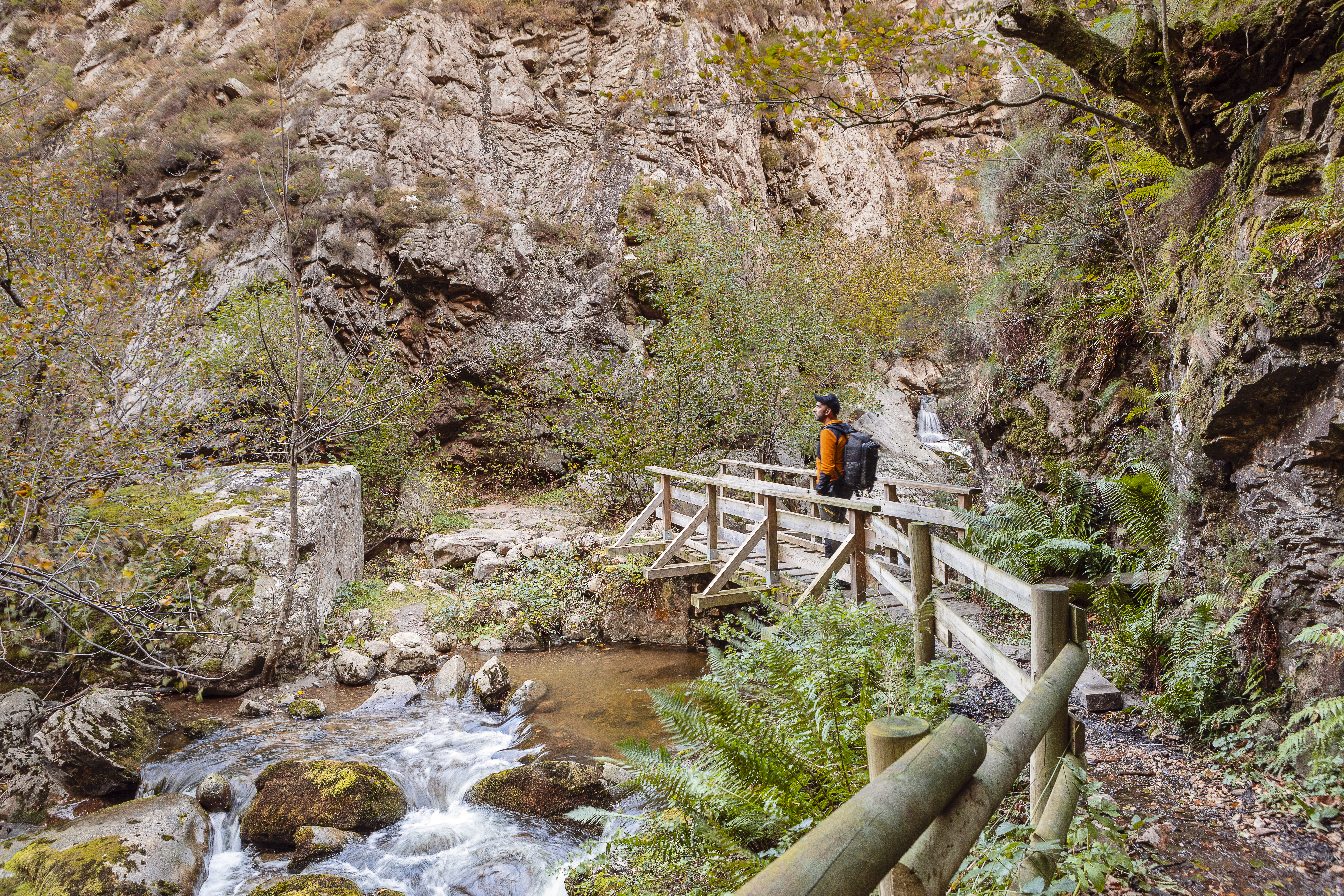 Na imagem, a Puente de la Calabaza de Arriba no Parque Natural de Redes. As faias dão cor, e você pode ver a típica floresta ribeirinha e montanhosa © em Espanha Verde | Corrimão Noe Na imagem, a Puente de la Calabaza de Arriba no Parque Natural de Redes. As faias dão cor, e você pode ver a típica floresta ribeirinha e montanhosa © em Espanha Verde | Corrimão Noe