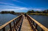 A zona húmida conhecida como Las Tablas de Daimiel foi declarada Parque Nacional em 1973 e Reserva da Biosfera em 1981 A zona húmida conhecida como Las Tablas de Daimiel foi declarada Parque Nacional em 1973 e Reserva da Biosfera em 1981