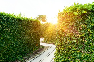 Cantábria oferece aos seus visitantes três labirintos de plantas que combinam sustentabilidade, meio ambiente e diversão © Shutterstock