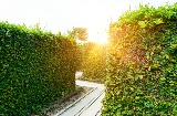 Cantábria oferece aos seus visitantes três labirintos de plantas que combinam sustentabilidade, meio ambiente e diversão © Shutterstock Cantábria oferece aos seus visitantes três labirintos de plantas que combinam sustentabilidade, meio ambiente e diversão © Shutterstock