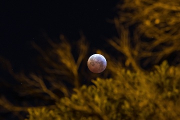 A chegada do Trio Ibérico posiciona a Espanha como um dos melhores lugares do mundo para observar os eclipses de 2026, 2027 e 2028 © Shutterstock