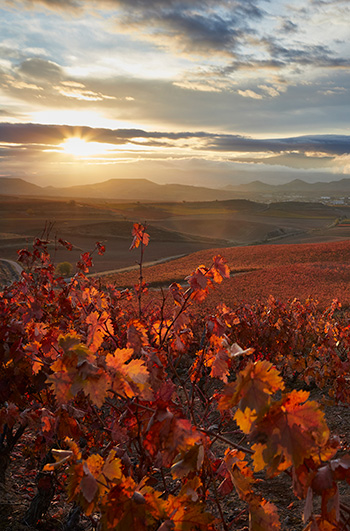 Spagna al femminile La Rioja