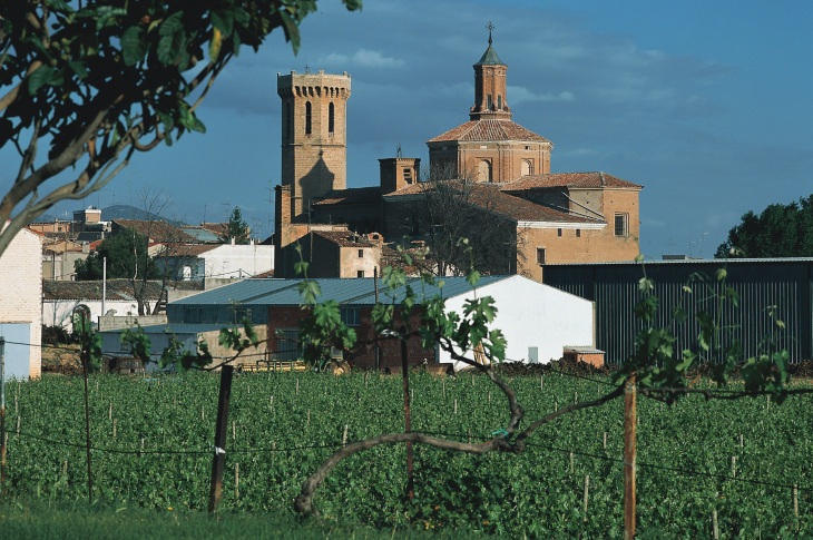 Cariñena è una delle denominazioni di origine più antiche Cariñena è una delle denominazioni di origine più antiche