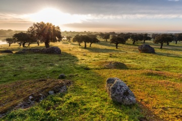 Alba nella dehesa di Arroyo de Luz