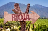As rotas do vinho em La Rioja incluem caminhadas pelos vinhedos, degustações de vinícolas e experiências gastronômicas © Shutterstock