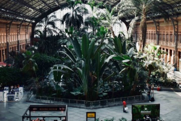 写真キャプション: マドリードのアトーチャ駅のメインホールの眺め