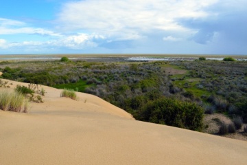 Widok na bagna Parku Narodowego Doñana, Rezerwat Biosfery