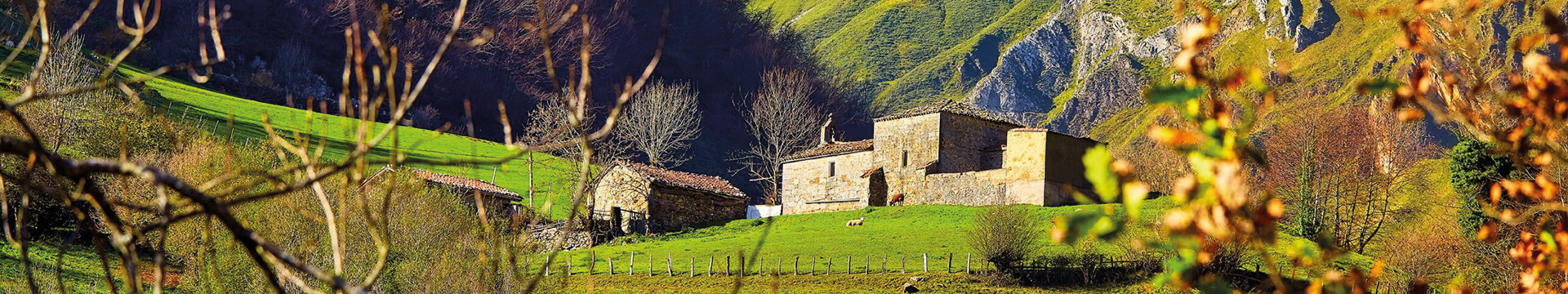 Naturpark und Biosphärenreservat Ubiñas–La Mesa in Asturien