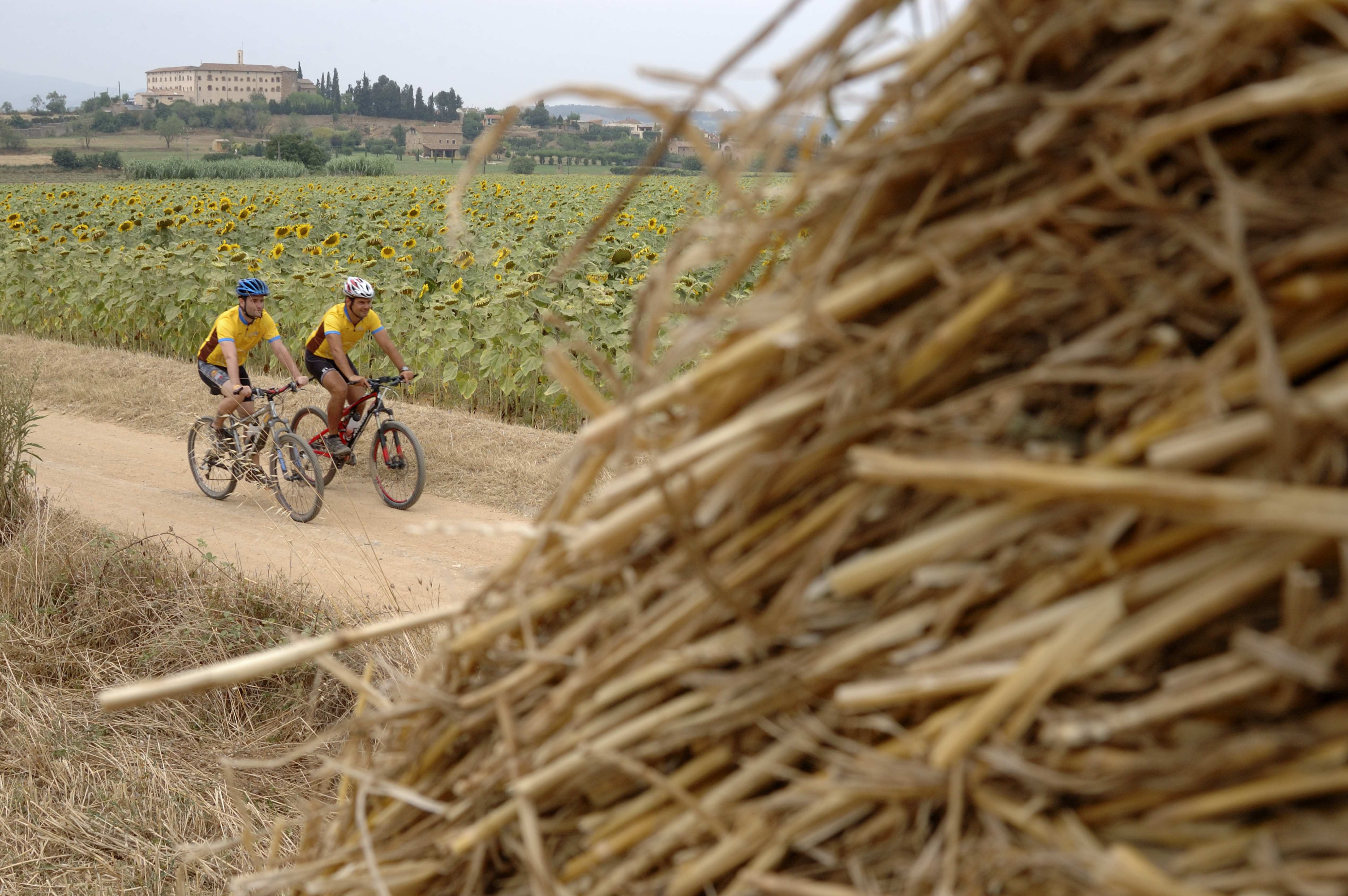 Girona ermöglicht Radfahrern, zwischen Feldern und auf schönen Landstrassen zu radeln